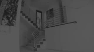 Du sexe bestiale pour cette pornstar