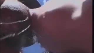 Une coquine enculée au pique nique !