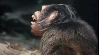 Un film vintage et chaud à voir gratuitement !