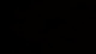 Riley Reid une pornstar brune pour une scène excitante