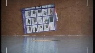 Eva aime ça se mettre un pénis dans la chatte