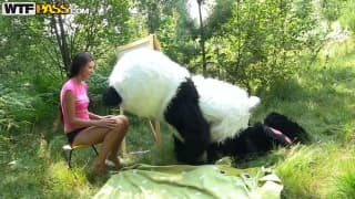 Un panda s’occupe de la chatte de Molly