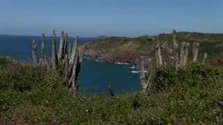 Double pénétrée par deux hommes devant la mer
