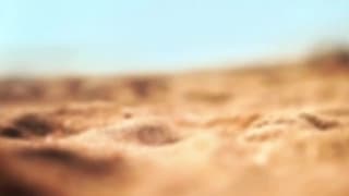 Femmes dénudées sur la plage sexy belle