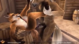 Fox In The Stable